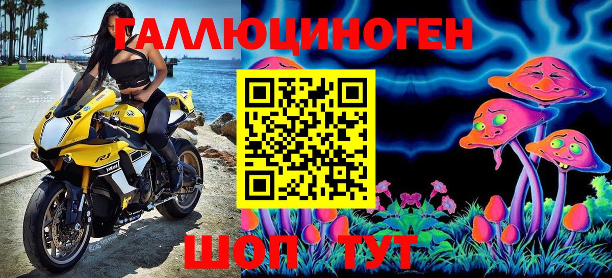 Псилоцибиновые грибы Psilocybe Куйбышев