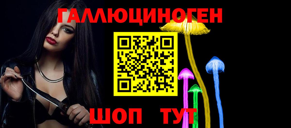 наркота  Псилоцибиновые грибы Psilocybine cubensis  Вход с VPN  Куйбышев 